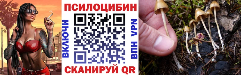 Псилоцибиновые грибы ЛСД Грозный